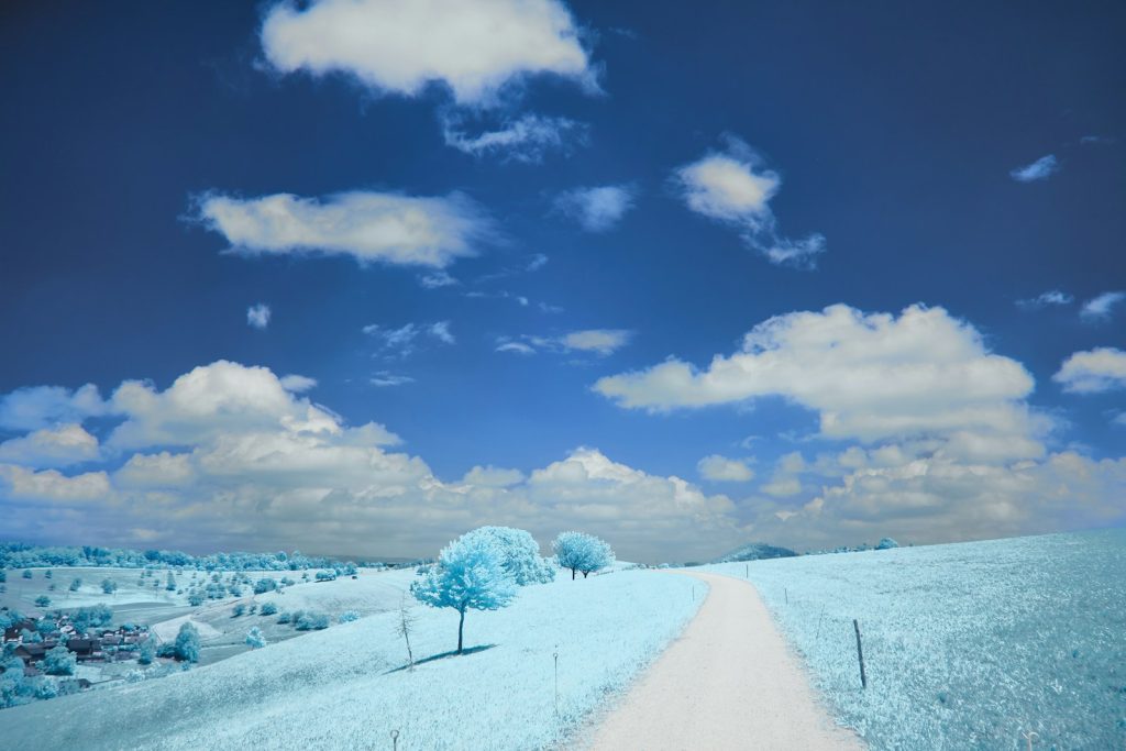 A road that is surrounded by snow and trees