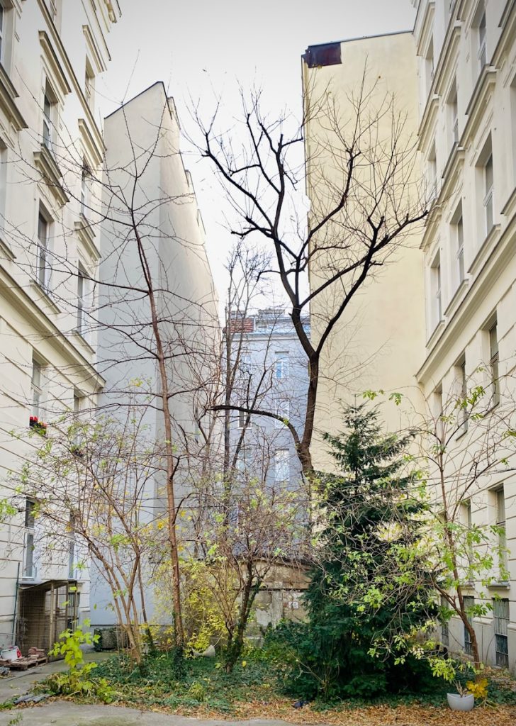 a very tall building next to a very small tree